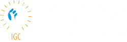 Indo Global Group of Colleges